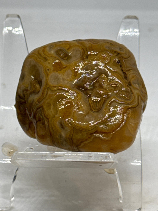 Golden Cyclone Unpolished Turkish Agate – 1.6 oz Collector’s Specimen