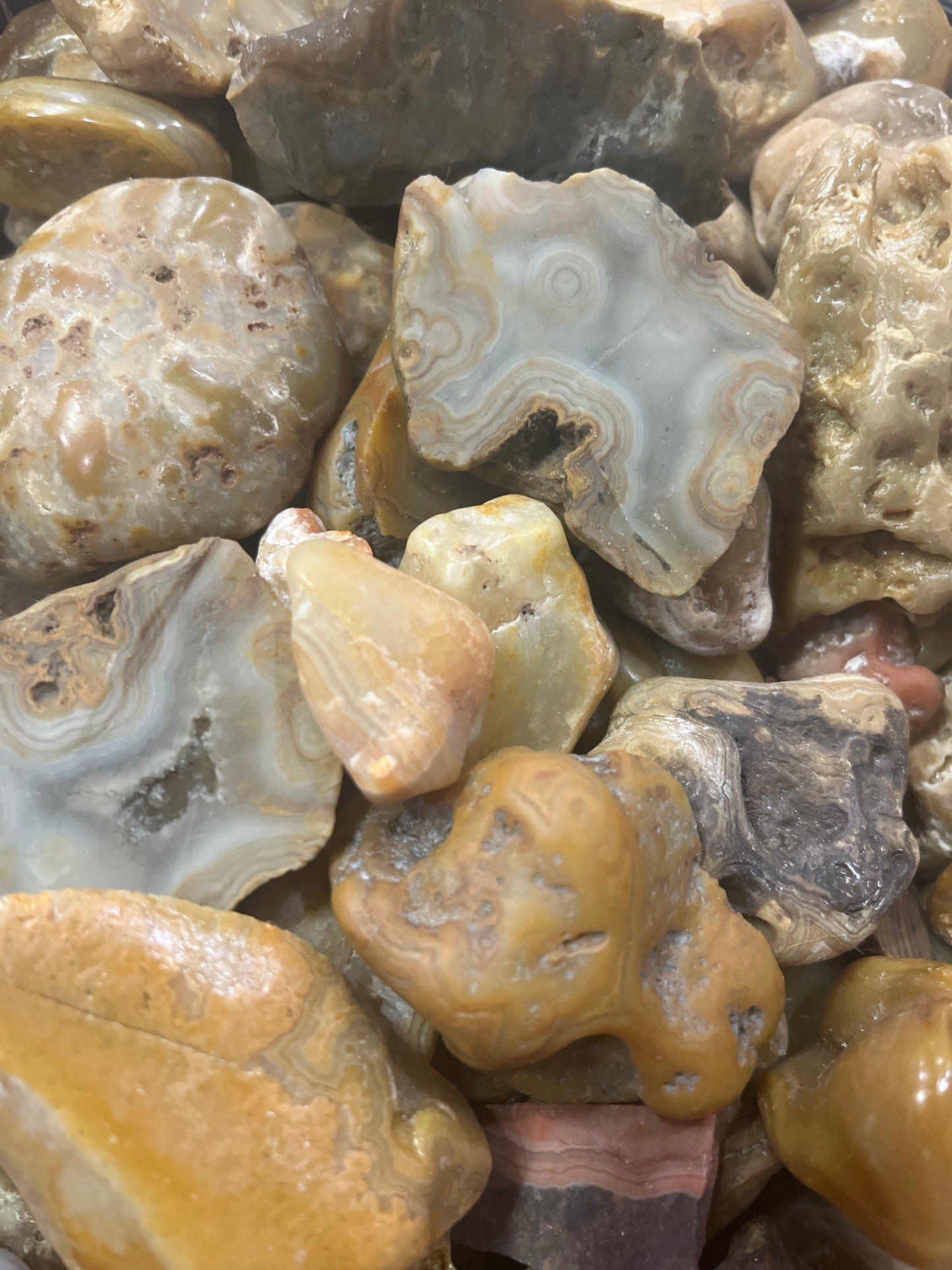 Mystery Rock Box; Crowley Agates and Lake Superior Assorted