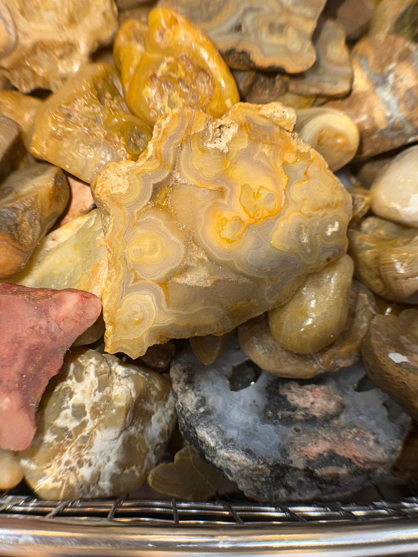 Mystery Rock Box; Crowley Agates and Lake Superior Assorted