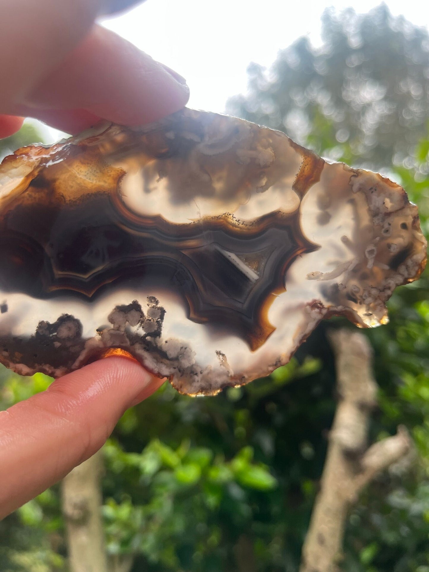Turkish Agate Slab