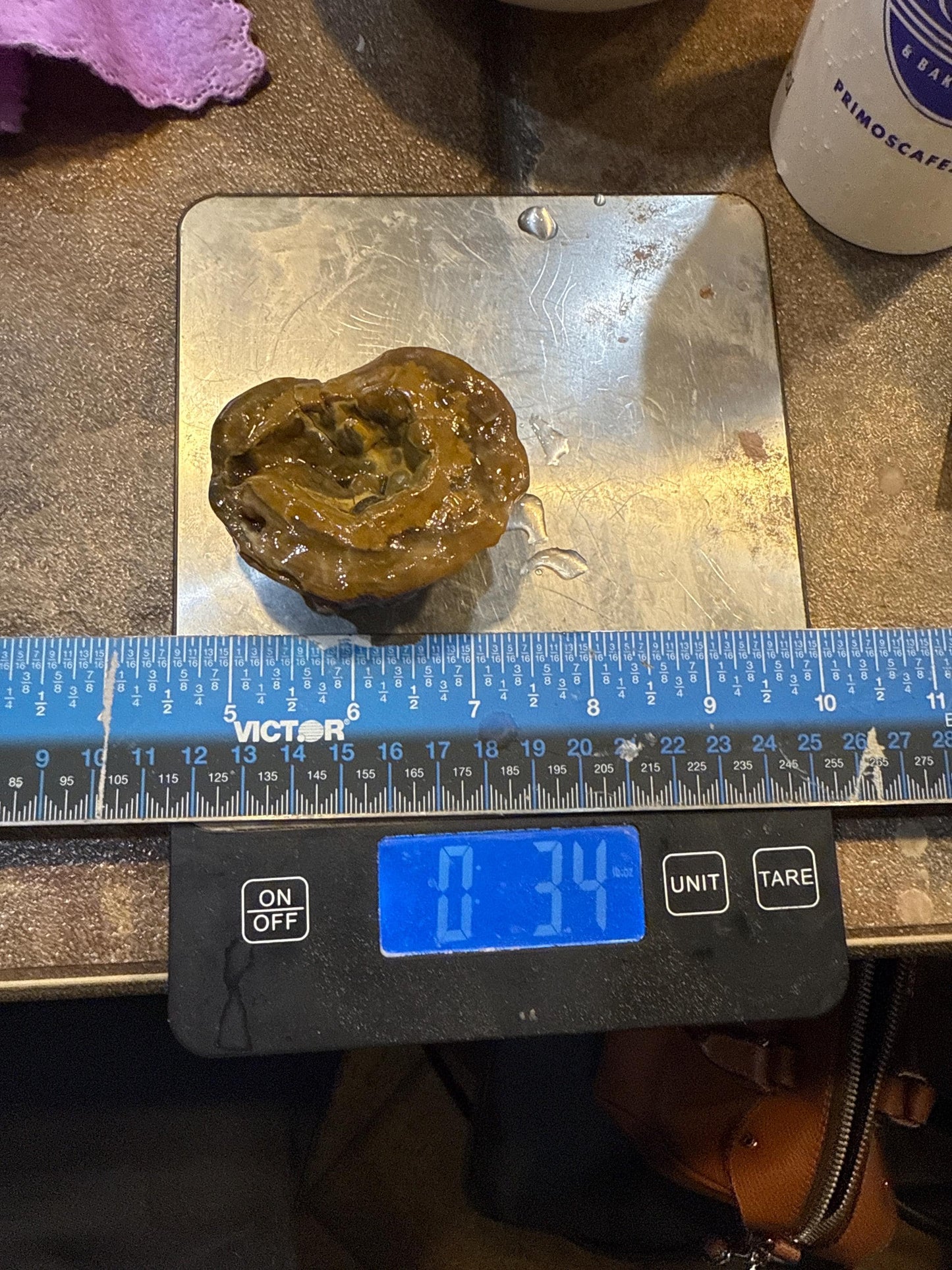 Crown of the Deep – 3.4 oz Unpolished Turkish Agate Specimen | Natural Cavity Stone