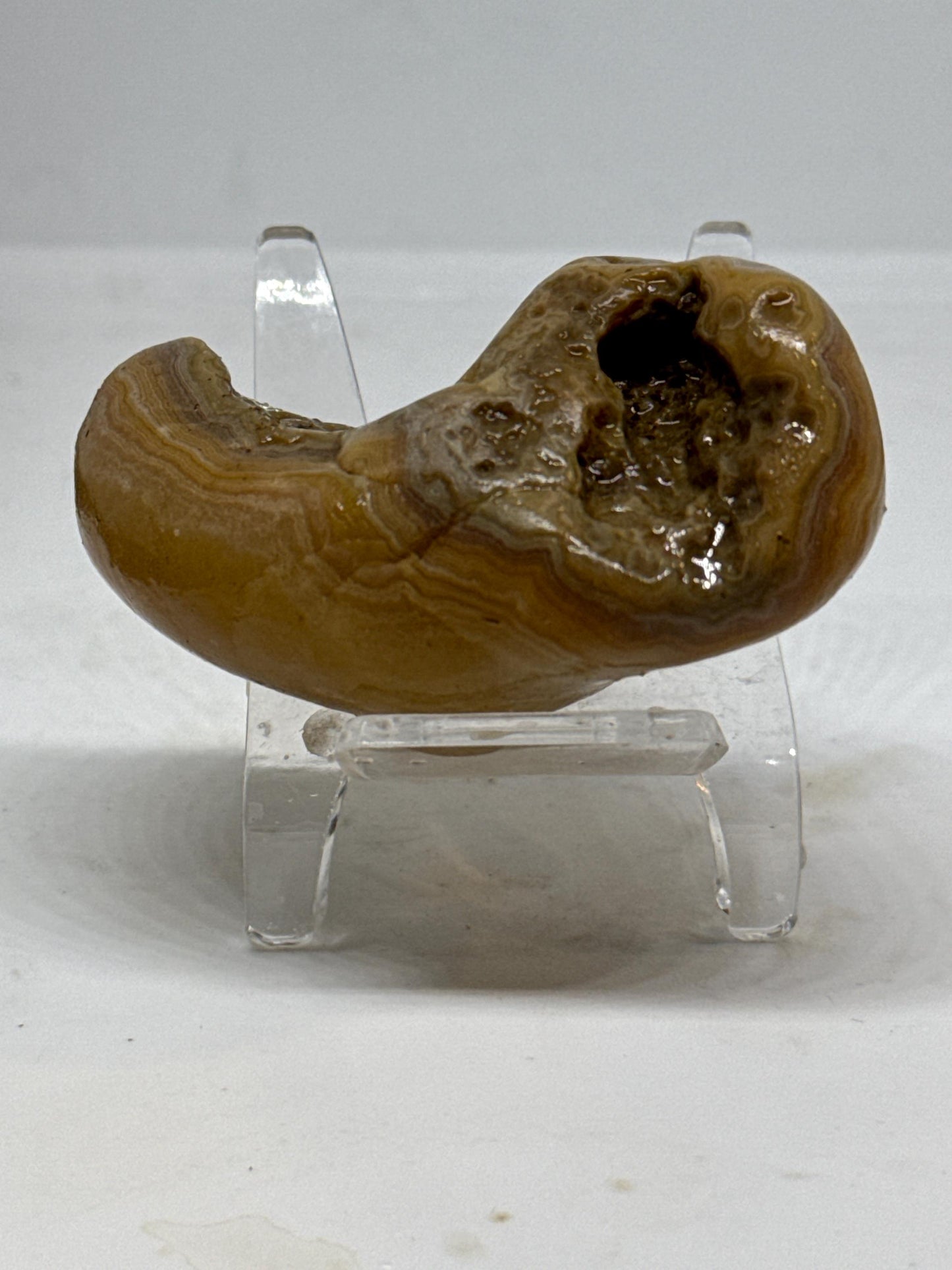 Natural Mississippi Agate | 3.2 oz Unpolished Geode Specimen