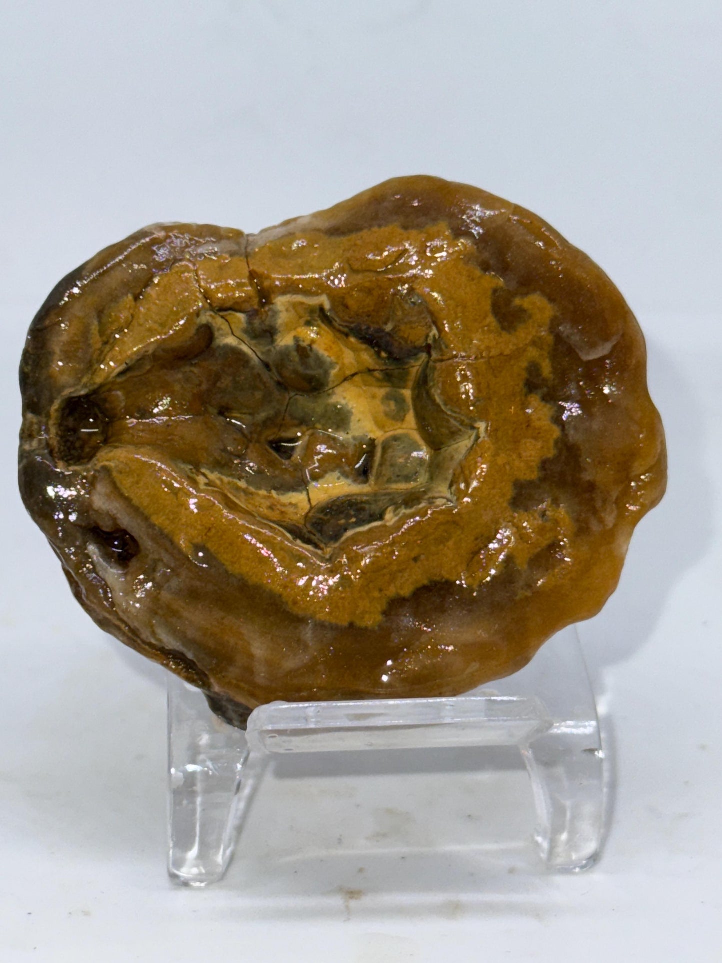 Crown of the Deep – 3.4 oz Unpolished Turkish Agate Specimen | Natural Cavity Stone