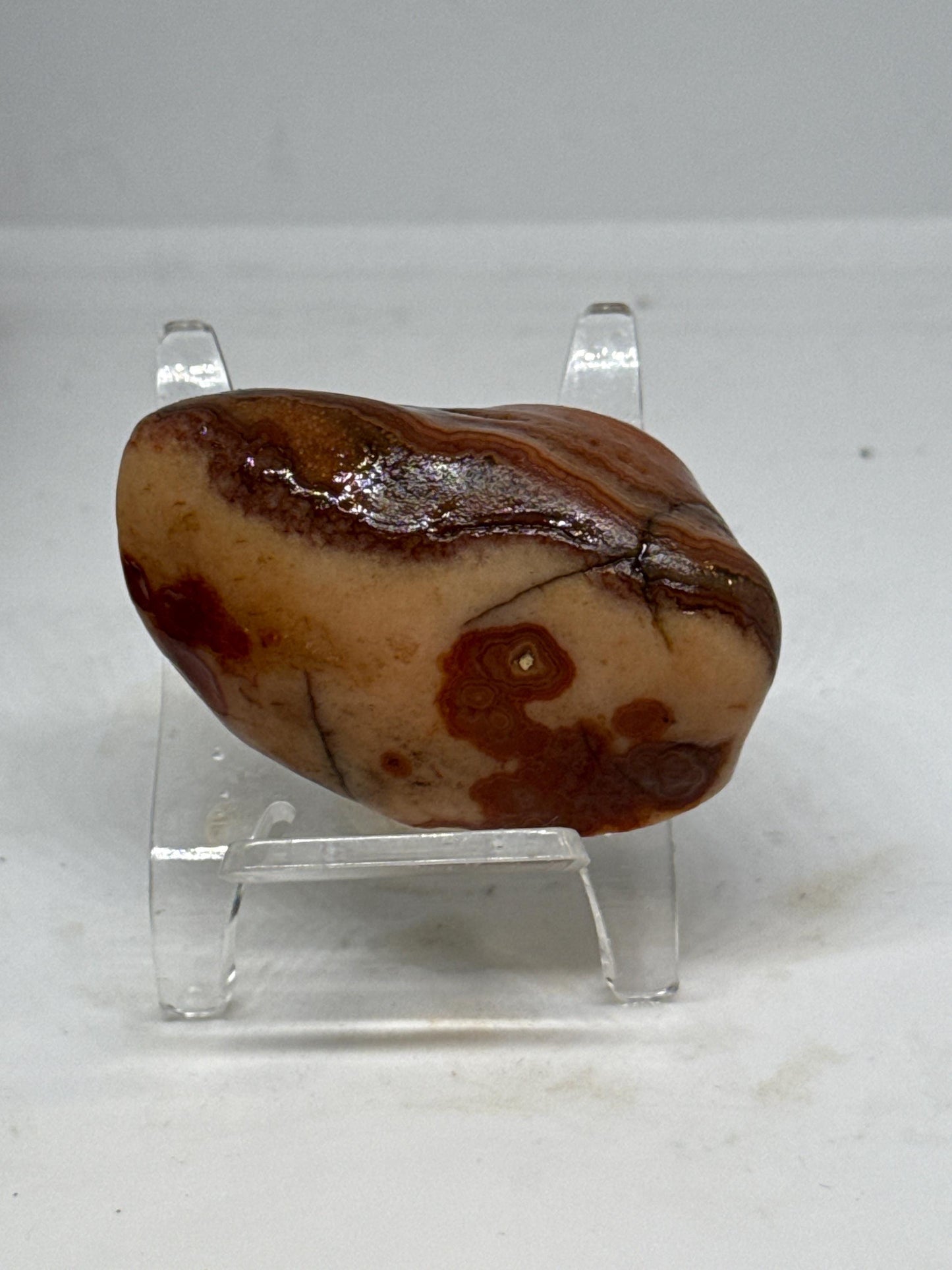 Crimson Creek – 2.3 oz Mississippi Agate with Marbled Red Swirls & Intricate Orbs