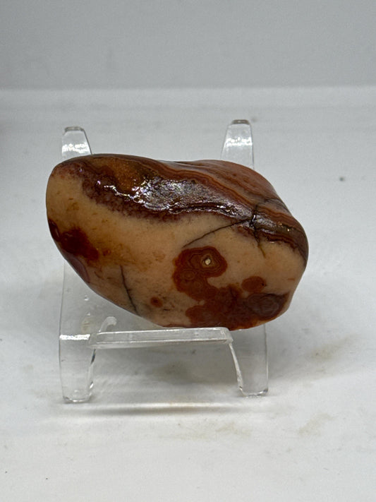 Crimson Creek – 2.3 oz Mississippi Agate with Marbled Red Swirls & Intricate Orbs